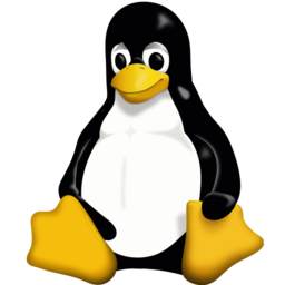 Linux: Mainboard und BIOS auslesen